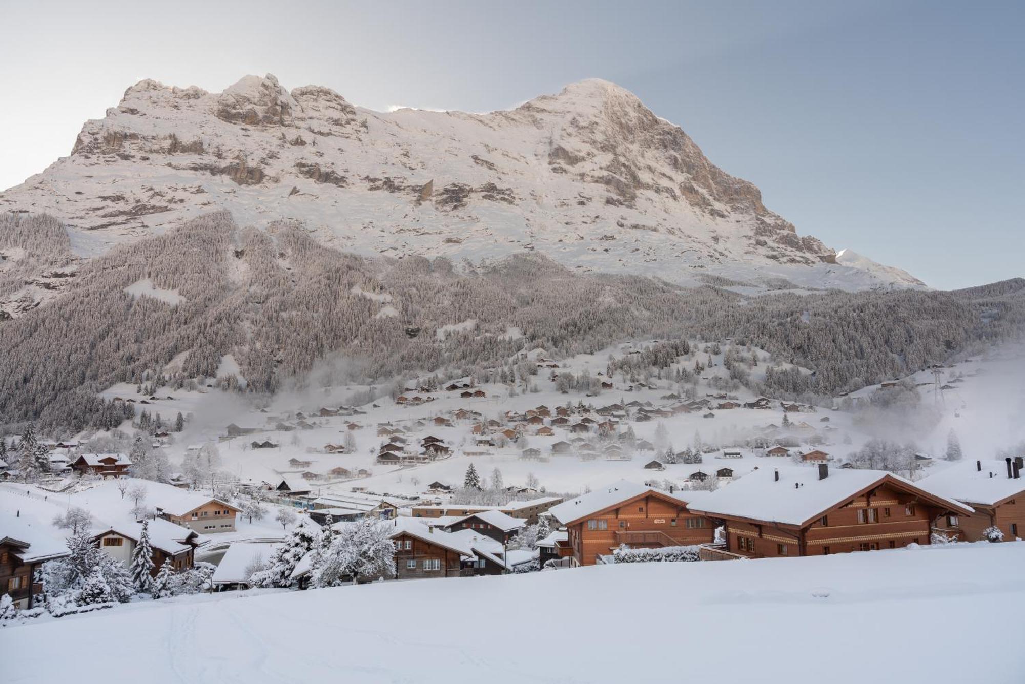 Chalet Alia And Apartments-Grindelwald By Swiss Hotel Apartments Eksteriør bilde