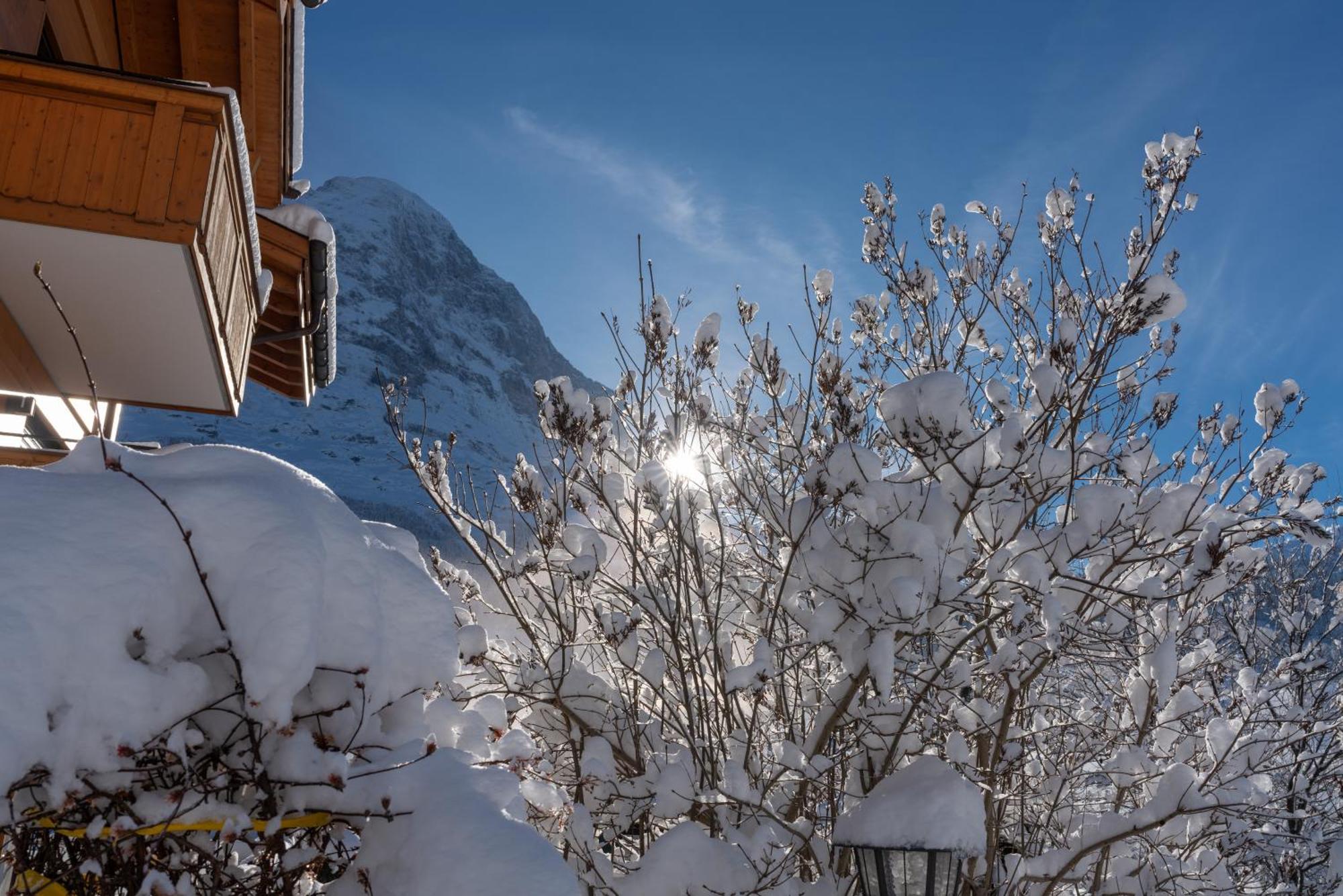 Chalet Alia And Apartments-Grindelwald By Swiss Hotel Apartments Eksteriør bilde