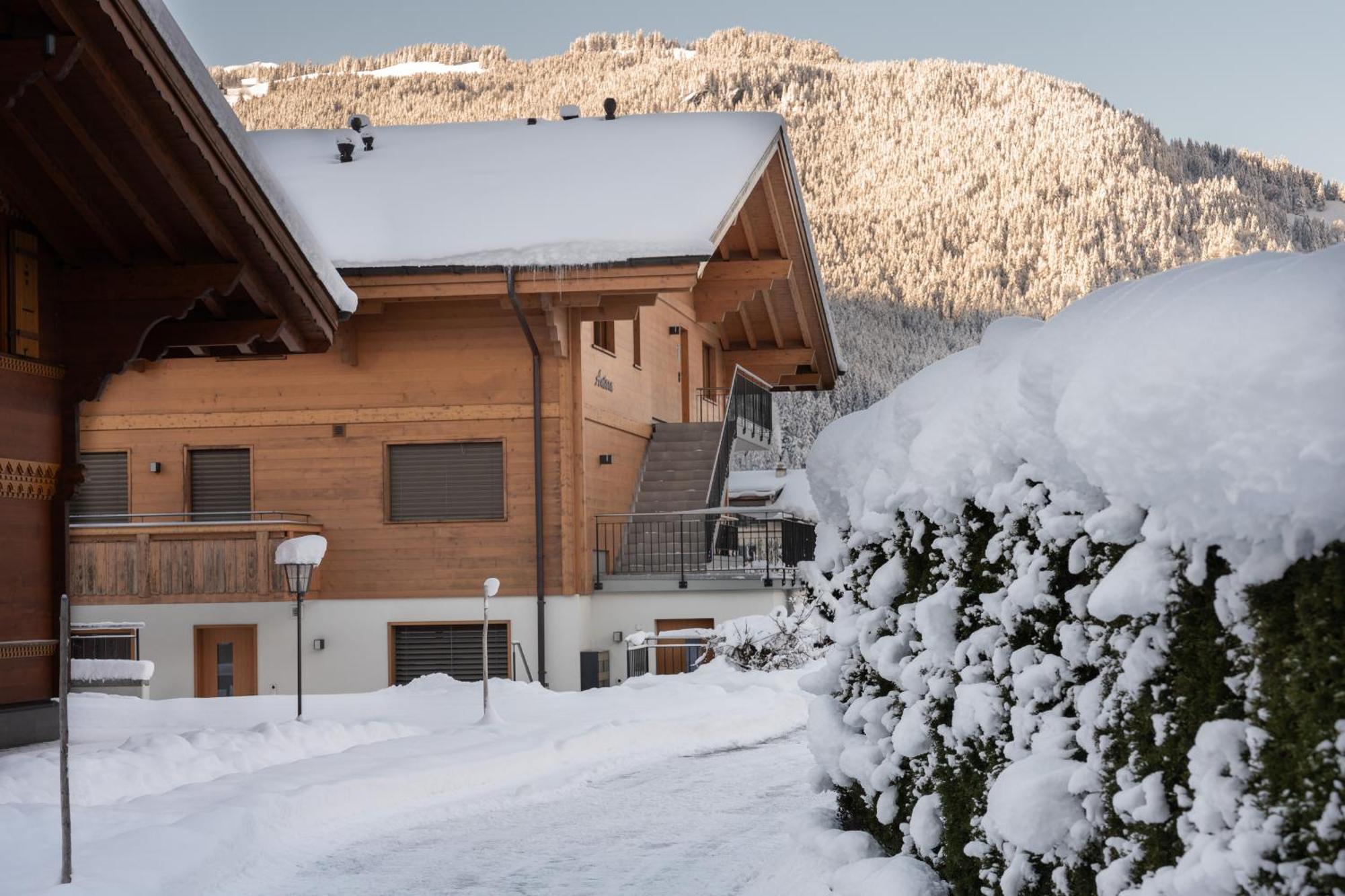 Chalet Alia And Apartments-Grindelwald By Swiss Hotel Apartments Eksteriør bilde