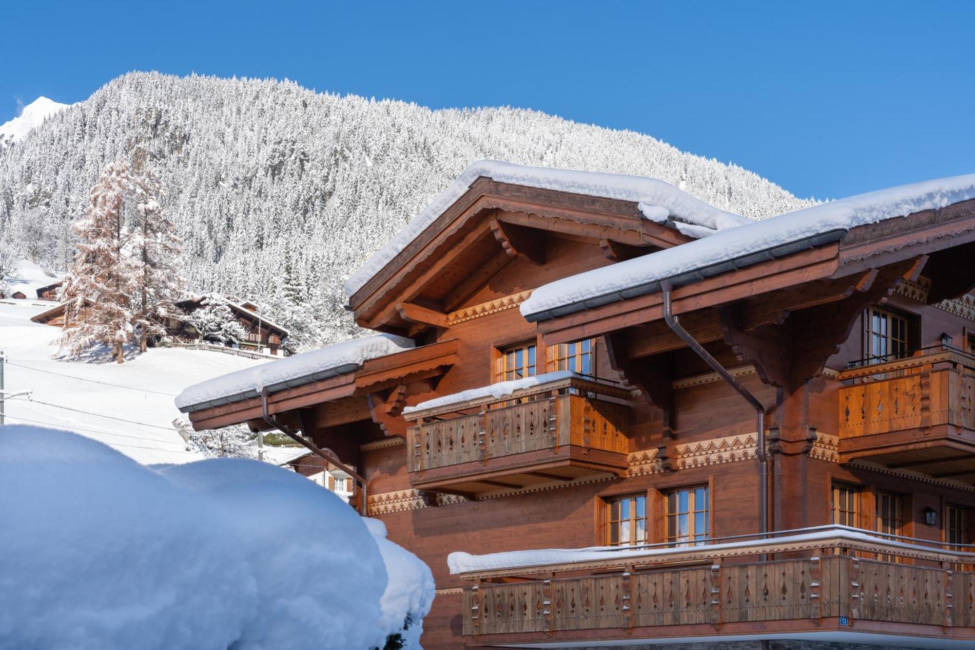 Chalet Alia And Apartments-Grindelwald By Swiss Hotel Apartments Eksteriør bilde